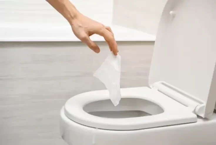Can Flushable Wipes Damage My Plumbing?